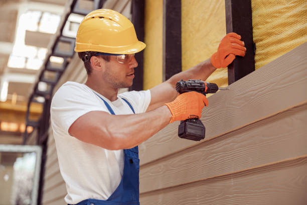 Best Siding Painting and Refinishing  in Spring Valley, AZ